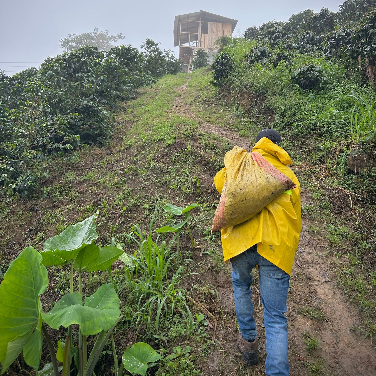 Colombia with Caravela Coffee: Part 1