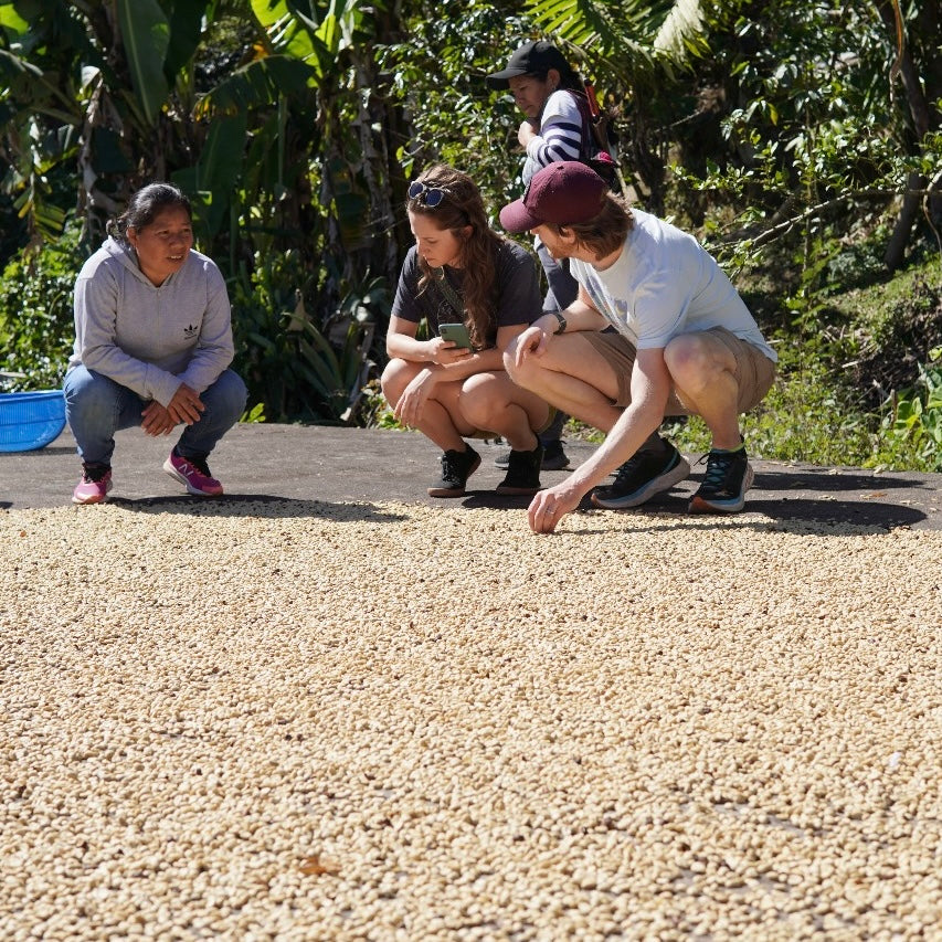 Visiting the Oaxaca Region, Part 1 : CARI Coffee