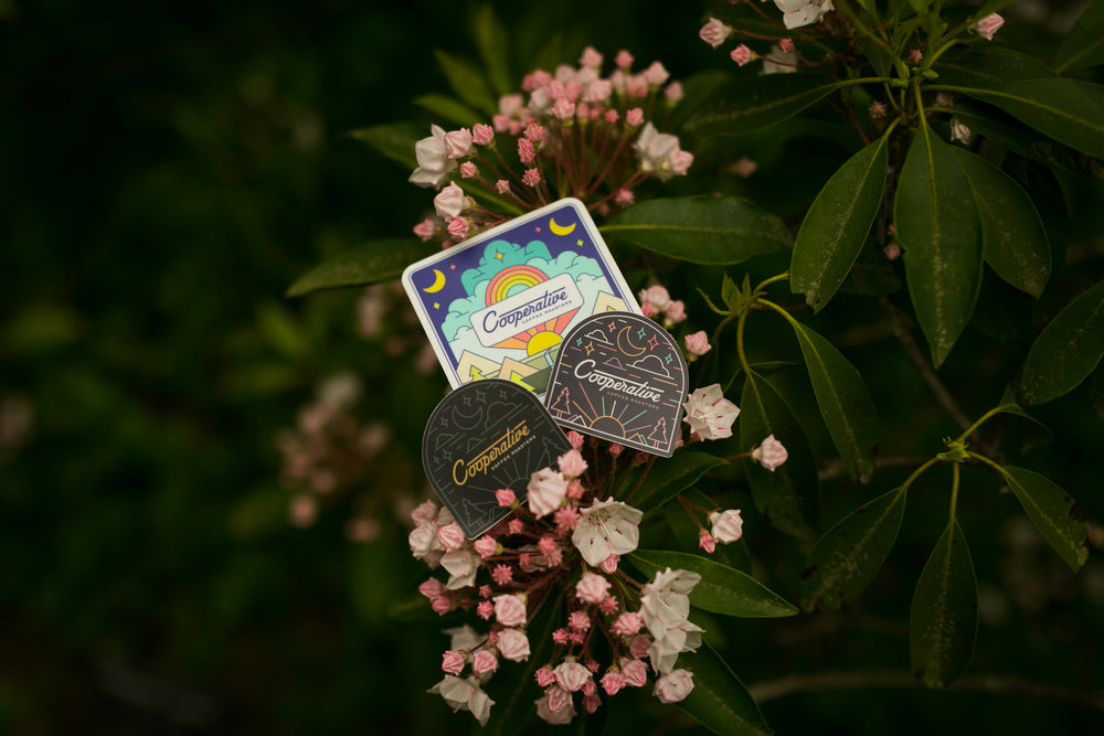 Single Stickers or Wiggle Pins