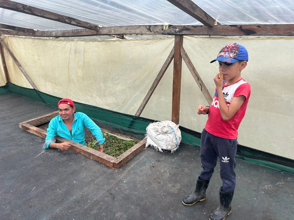 John Ruano Costa (single family lot) - Oporapa, Huila, Colombia