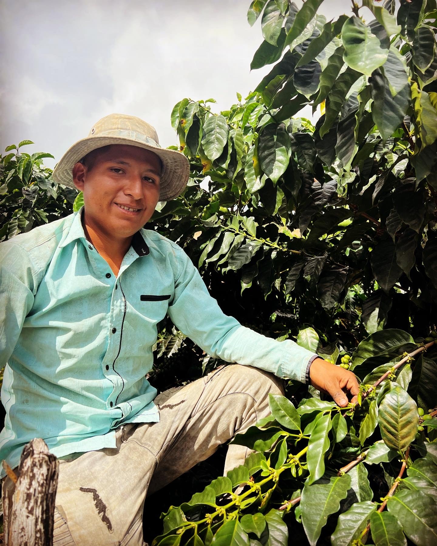 
                  
                    Carrasco - Caranavi, Bolivia
                  
                