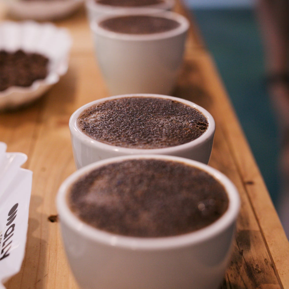 Public Cupping