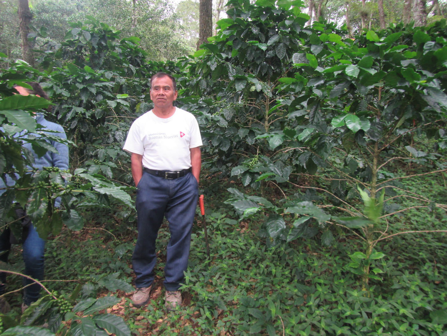 
                  
                    Santiago Lachiguiri - Oaxaca, Mexico
                  
                