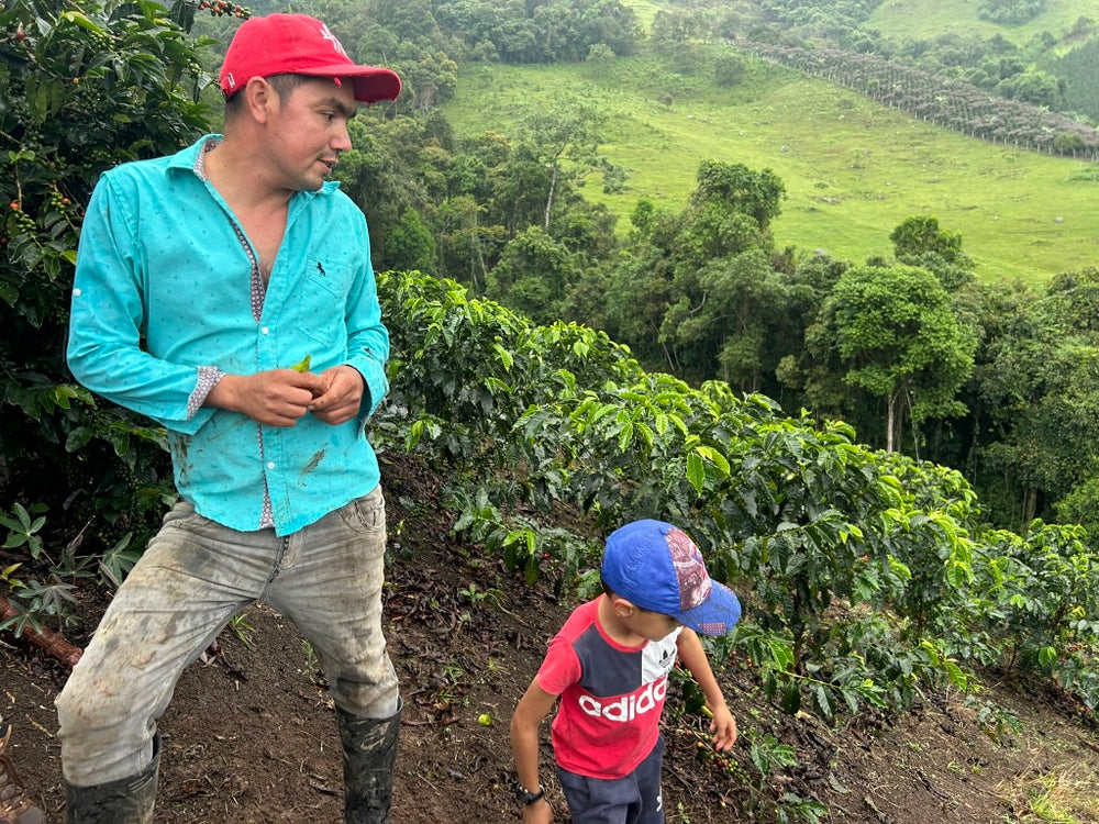 
                  
                    John Ruano Costa (single family lot) - Oporapa, Huila, Colombia
                  
                