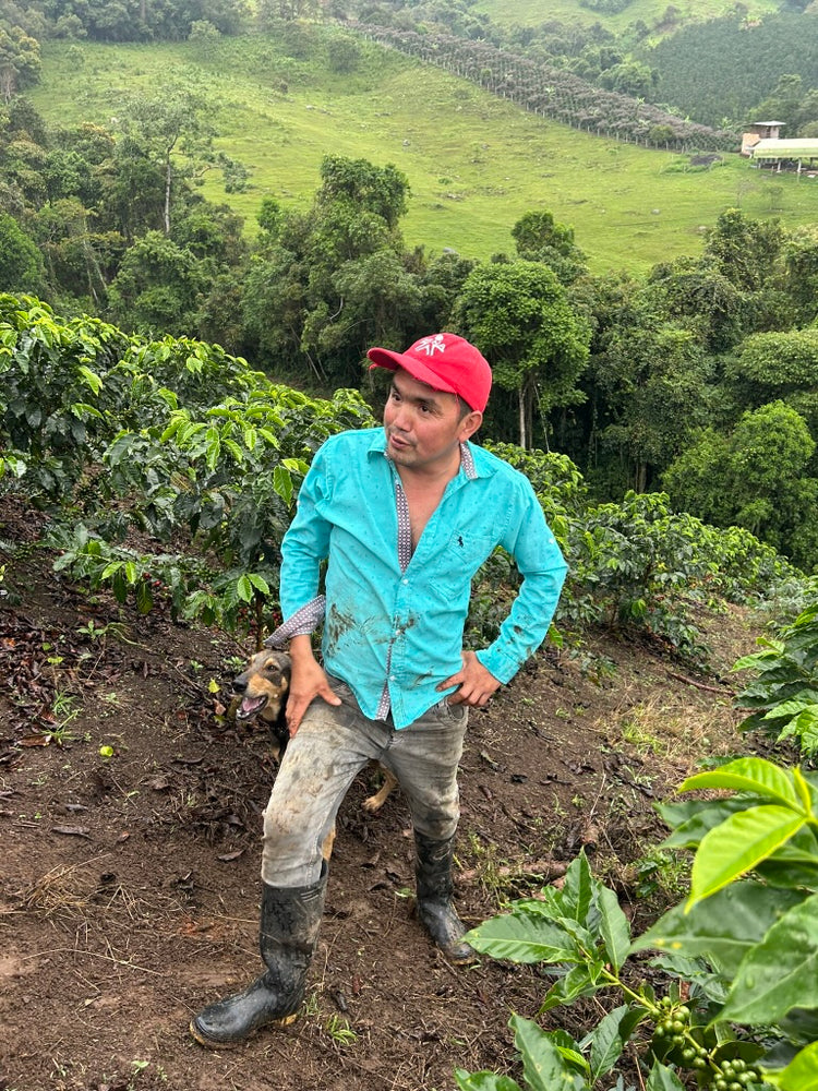 
                  
                    John Ruano Costa (single family lot) - Oporapa, Huila, Colombia
                  
                