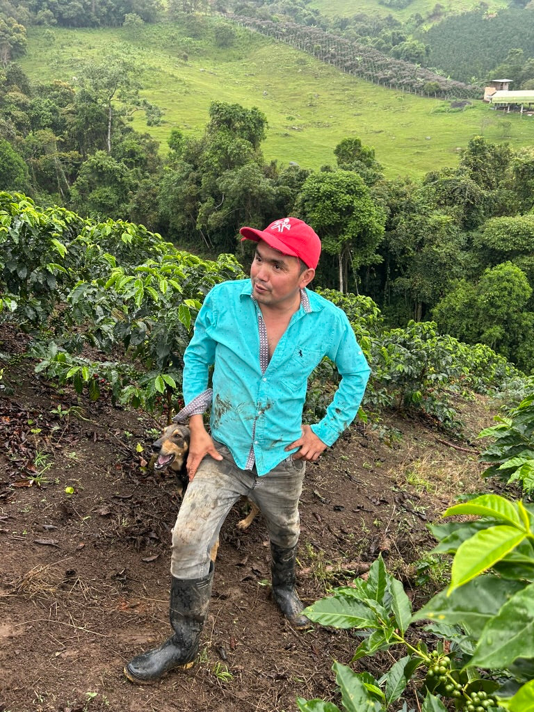 
                  
                    John Ruano Costa (single family lot) - Oporapa, Huila, Colombia
                  
                