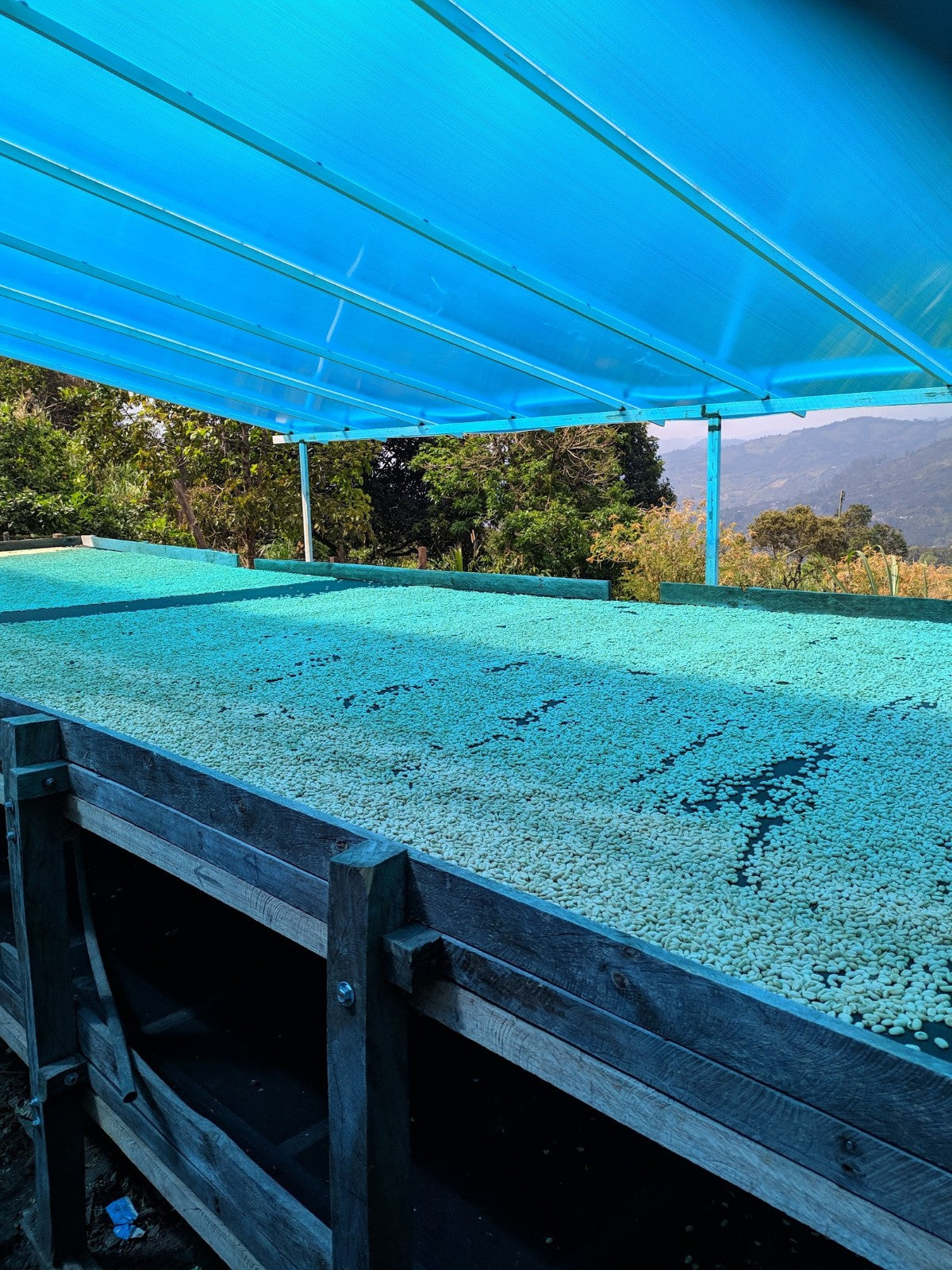 
                  
                    Familia Urbano - Nariño, Colombia
                  
                