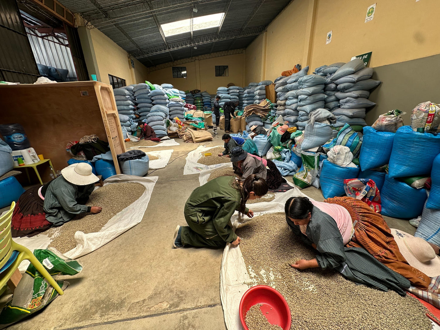 
                  
                    Carrasco - Caranavi, Bolivia
                  
                