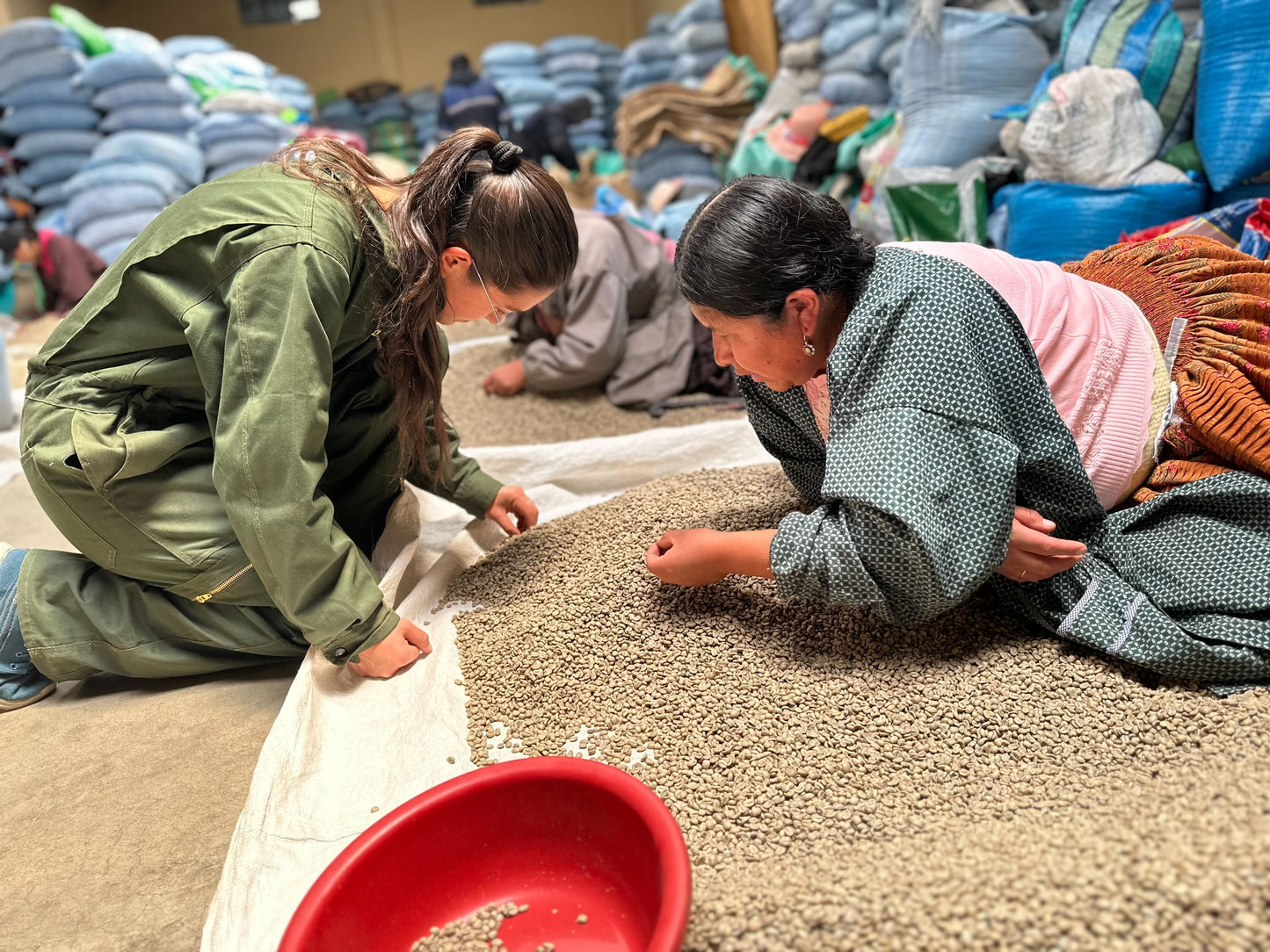 
                  
                    Carrasco - Caranavi, Bolivia
                  
                