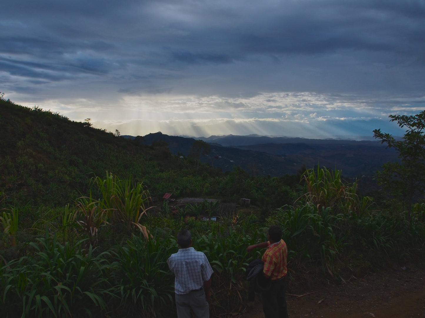 
                  
                    Familia Urbano - Nariño, Colombia
                  
                