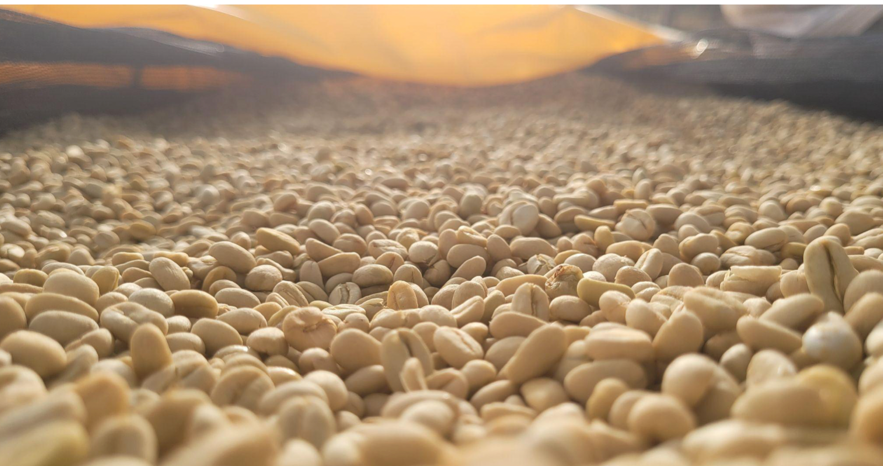 Banko Gotiti Washed - Yirgacheffe, Ethiopia
