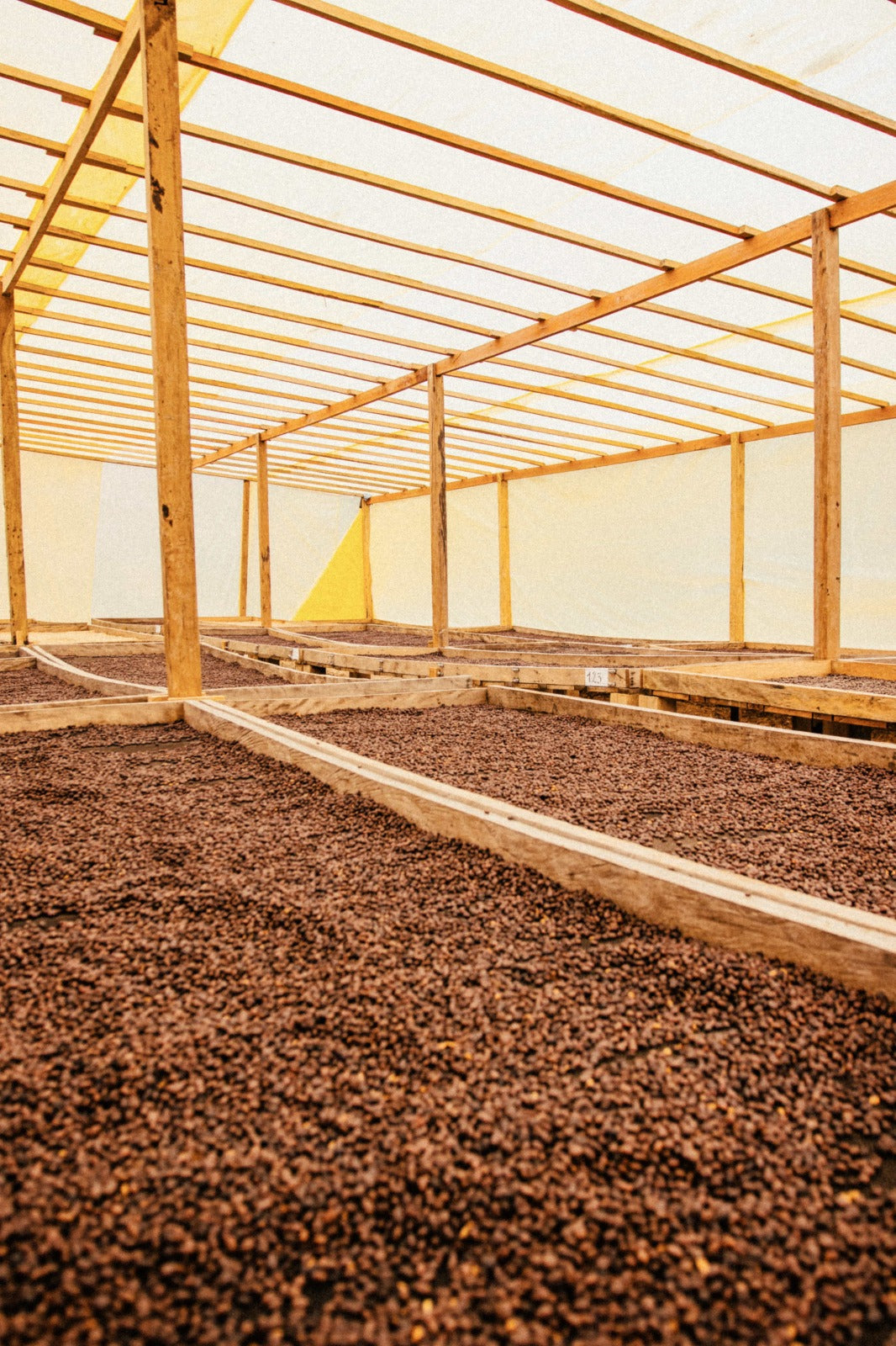 
                  
                    Carrasco - Caranavi, Bolivia
                  
                