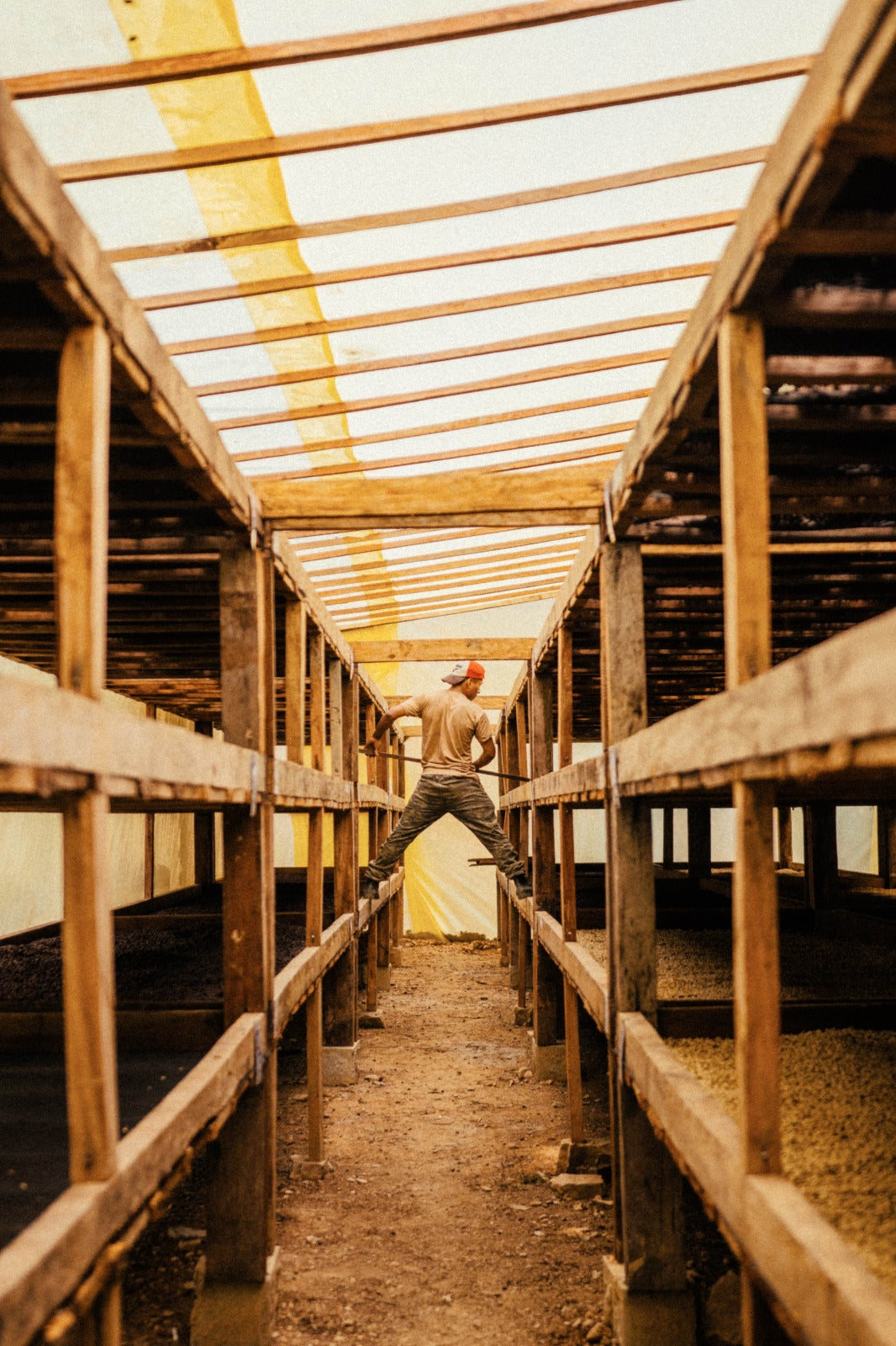 
                  
                    Carrasco - Caranavi, Bolivia
                  
                