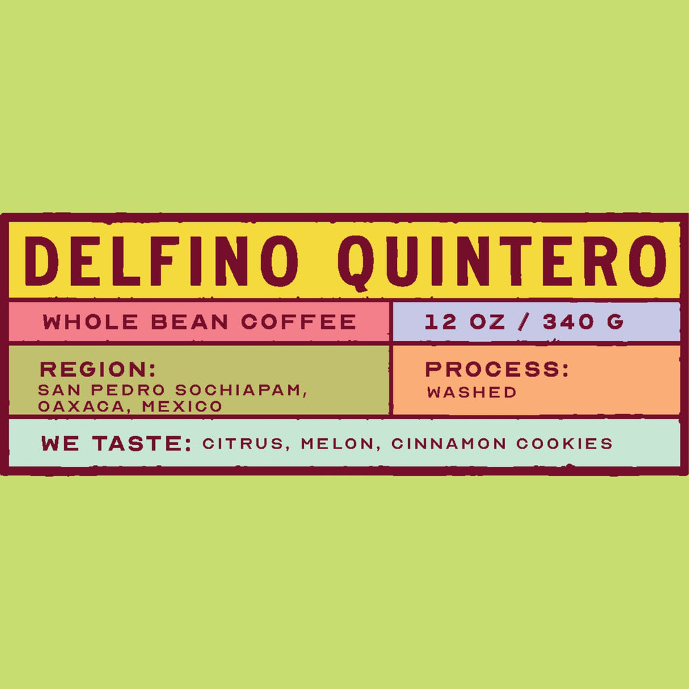 Delfino Quintero - San Pedro Sochiapam, Oaxaca, Mexico