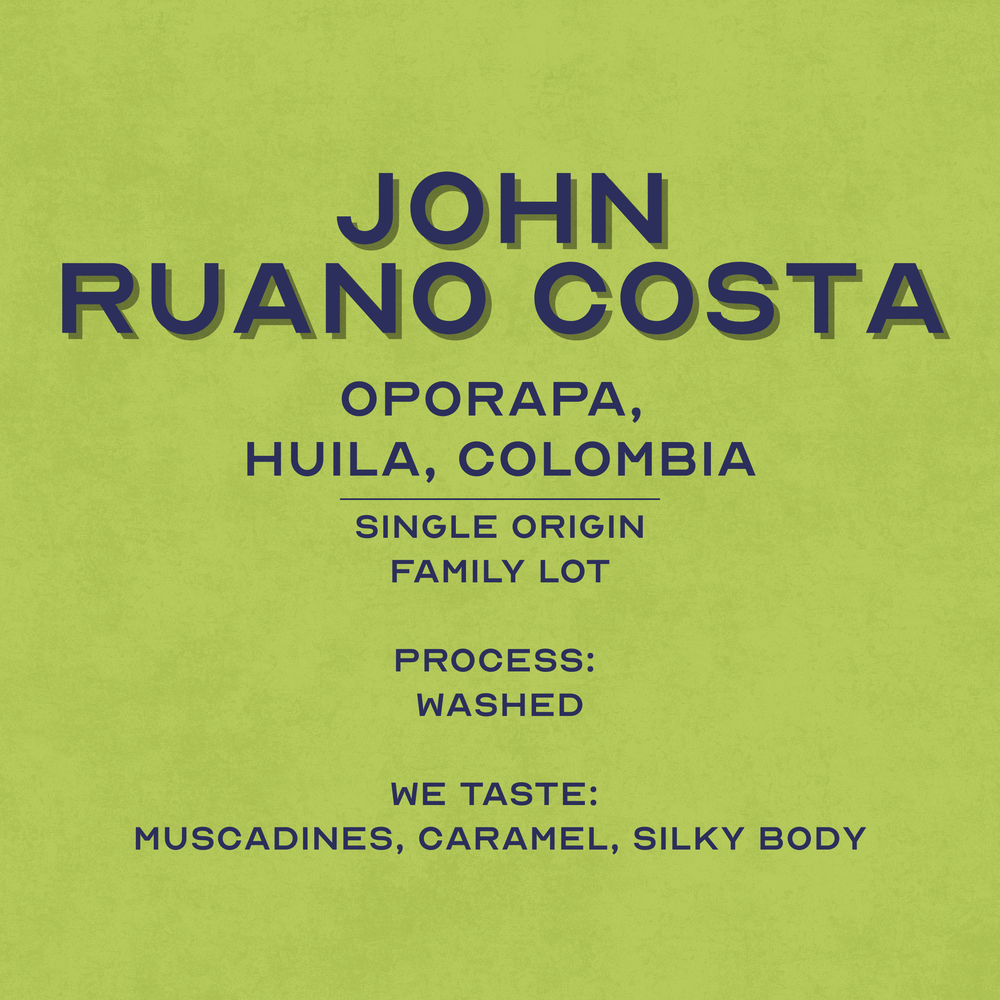 John Ruano Costa (single family lot) - Oporapa, Huila, Colombia
