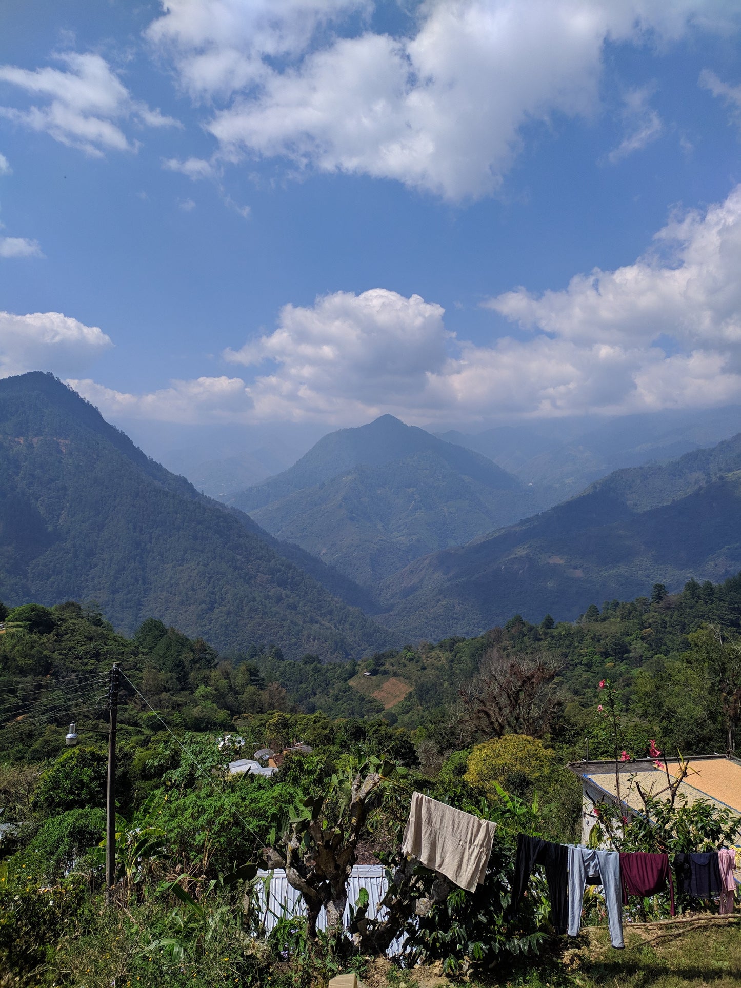 
                  
                    Mixteca (community lot) - San Pedro Yosotatu, Oaxaca, Mexico
                  
                