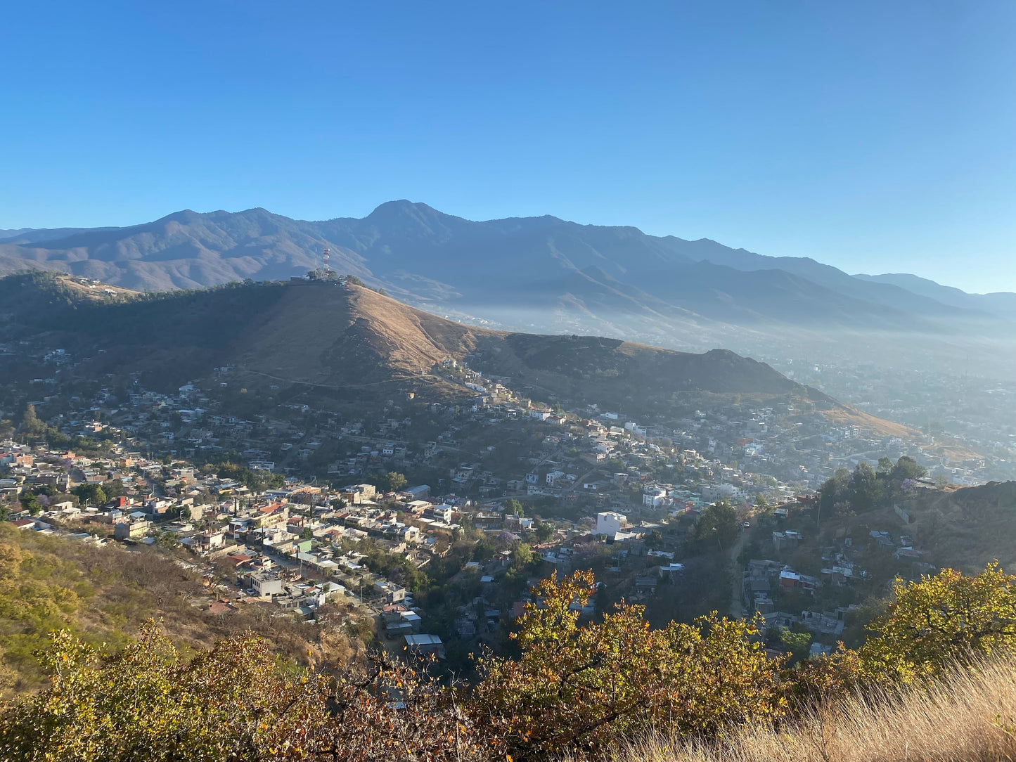 
                  
                    Mixteca (community lot) - San Pedro Yosotatu, Oaxaca, Mexico
                  
                