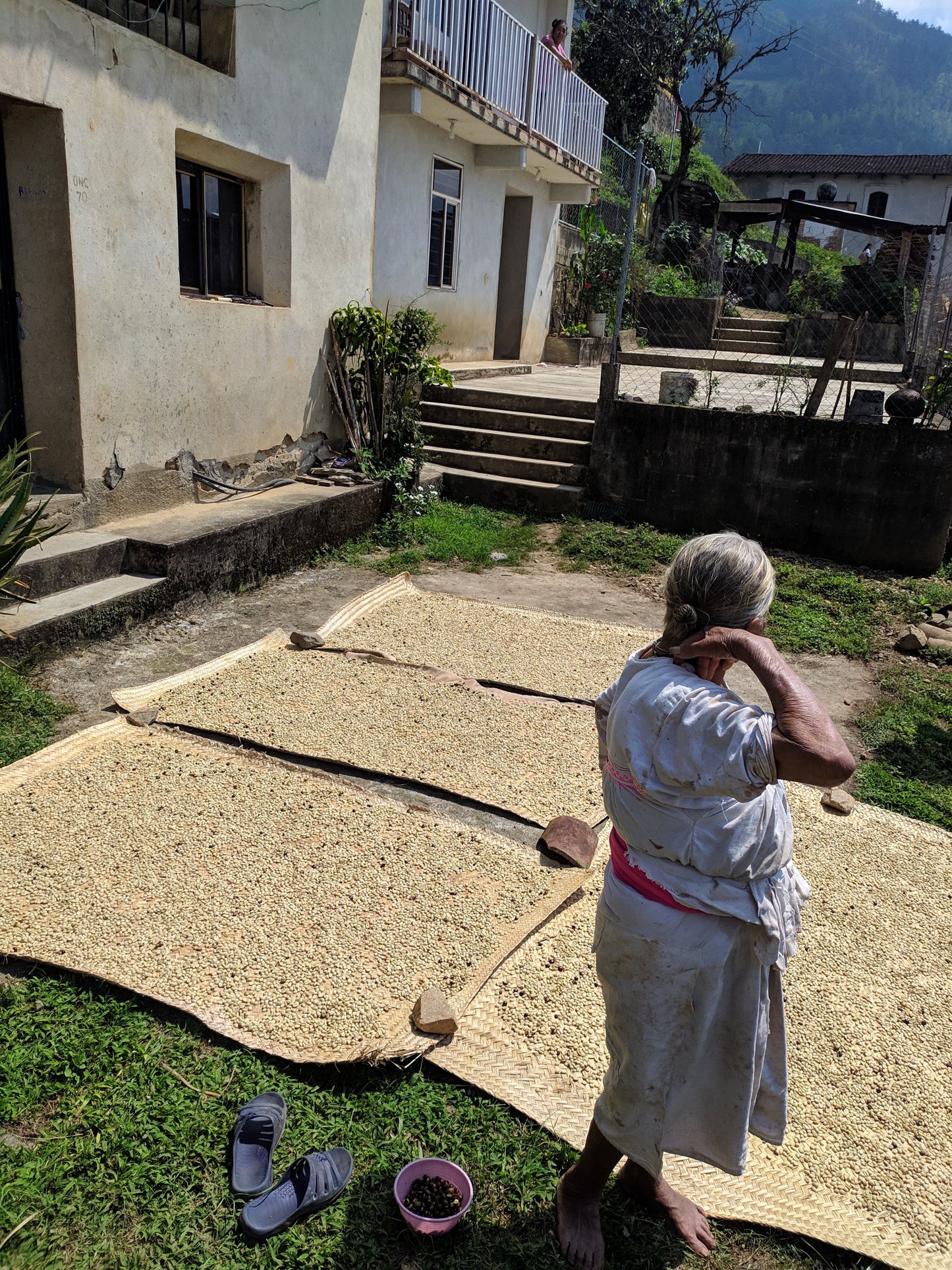 
                  
                    Mixteca (community lot) - San Pedro Yosotatu, Oaxaca, Mexico
                  
                