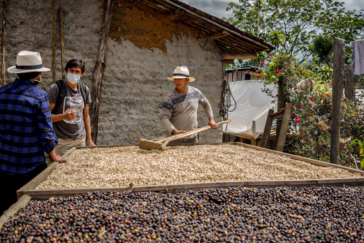
                  
                    El Sauce - Loja, Ecuador
                  
                